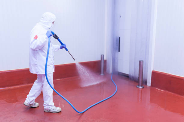 Best Restaurant Pressure Washing  in Wesley Chapel, FL