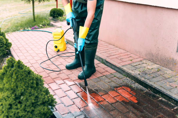 Best Oil Spill Cleanup  in Wesley Chapel, FL