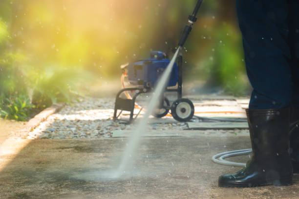 Animal Enclosure Cleaning in Wesley Chapel, FL